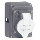 Legrand - 24/42vdc 16a 2p P Pnl Skt IP44