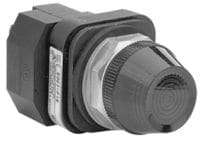 Allen-Bradley 30.5mm Type 4/4X/13 Pilot Light,Xfmr,Blu