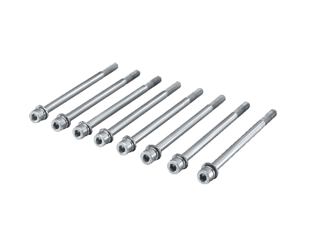 Rittal SV SCREW SET FOR FLAT-PLS Pk of 8