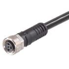 Molex - M8 3P Female to Pigtail WSOR Cable 10m