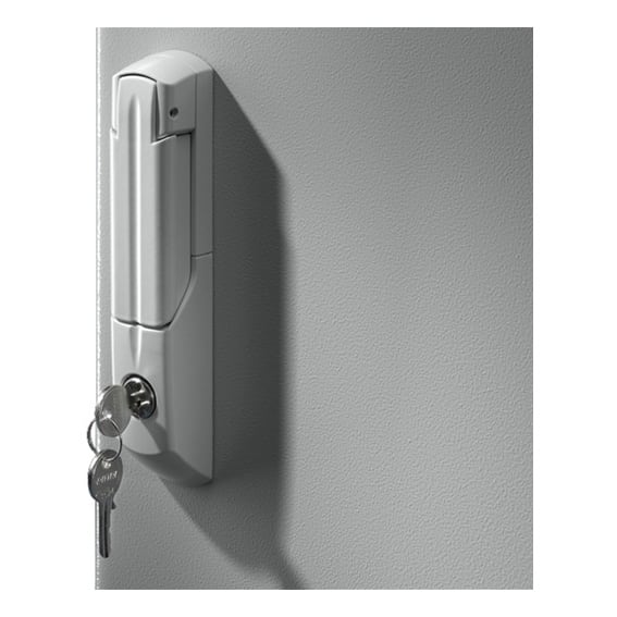 Rittal CS Semi cylinder with identical lock sys