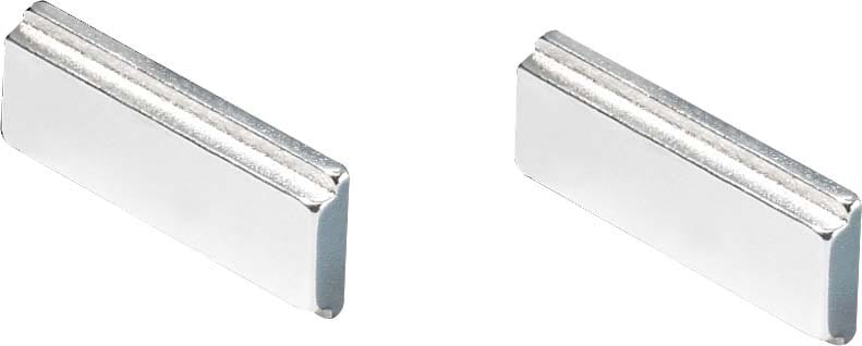 Rittal Mounting kit magnet pack of two
