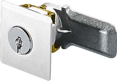 Rittal Security lock