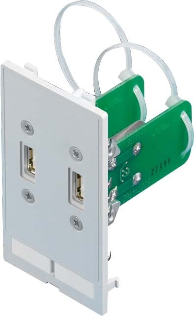 Rittal INTERFACE INSERT