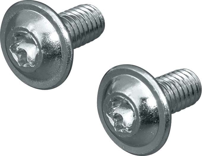 Rittal TORX SCREWS M8x12 (PK 300)