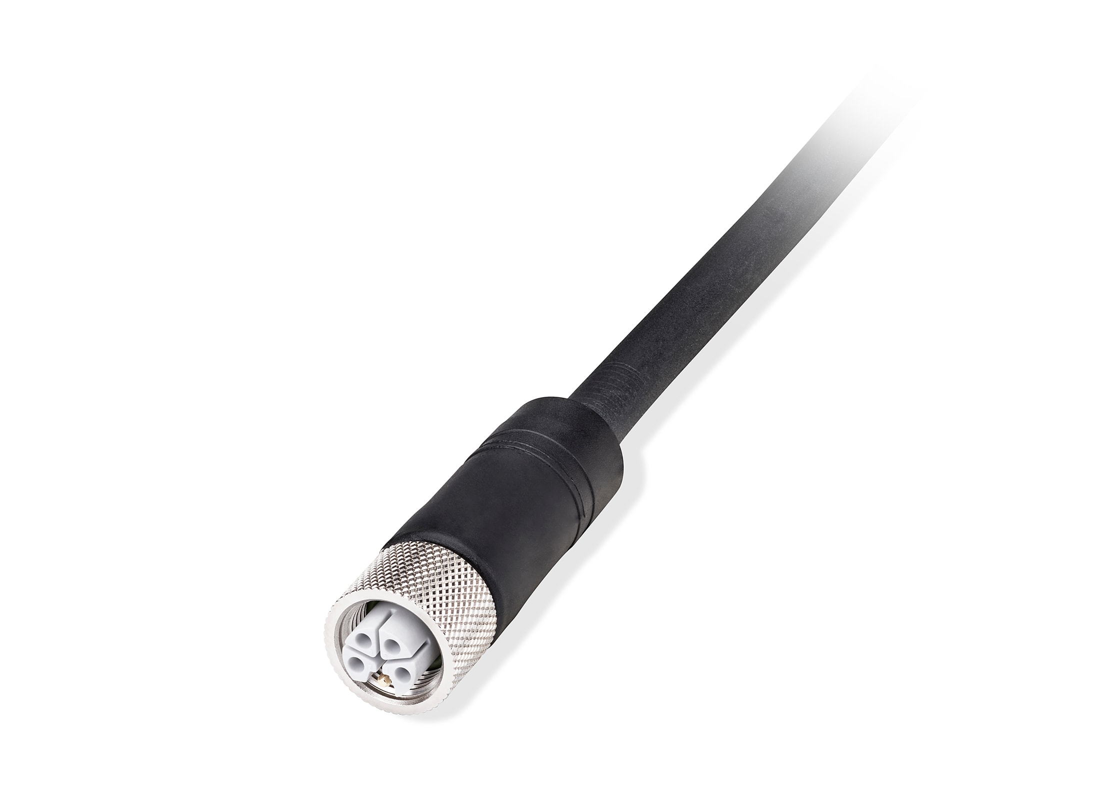 Allen-Bradley 5 m M12 Power L-code Female Straight Cor