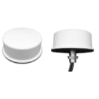 Prosoft - 4 dBi Omni RP-SMA MIMO antenna with 1