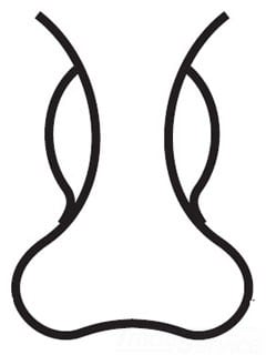 Bussmann FUSE CLIP